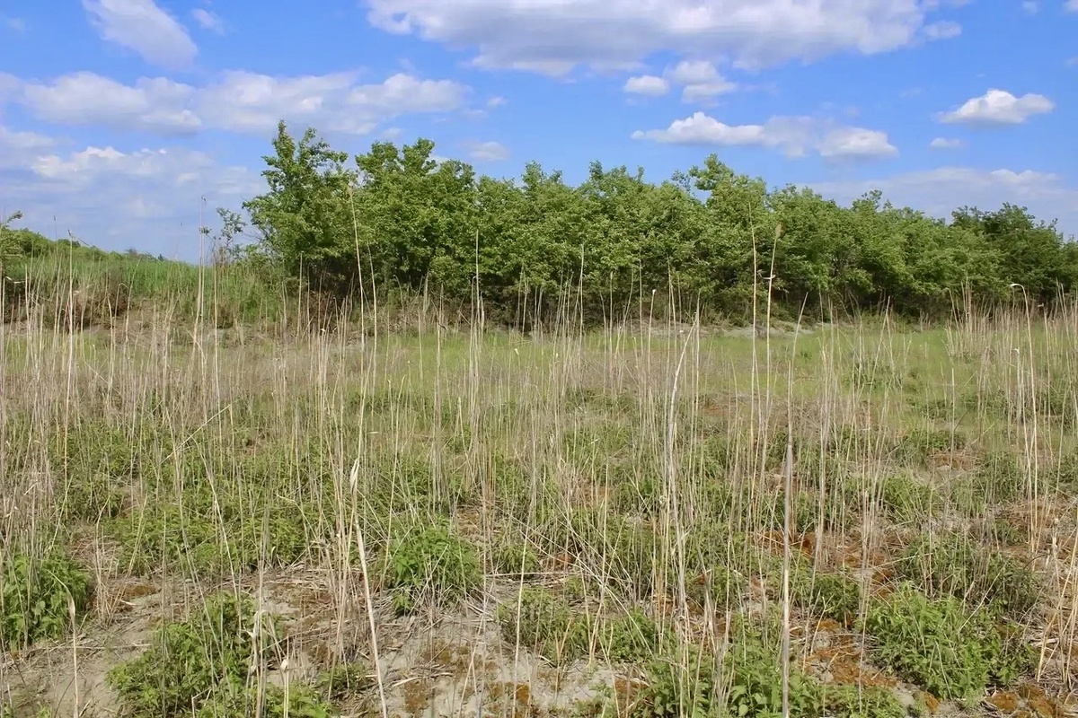 Источник: из личных архивов эксперта ЮФУ.