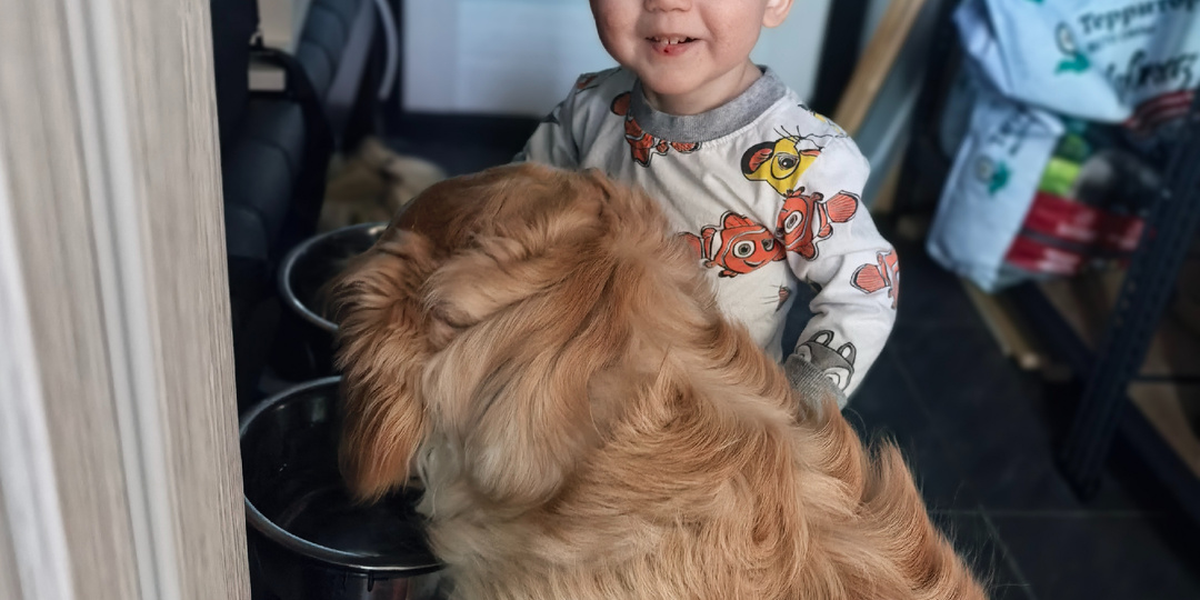 Как я чашей переполнилась и устала перед школой оправдываться