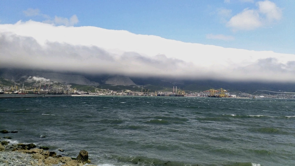 фото из интернета 