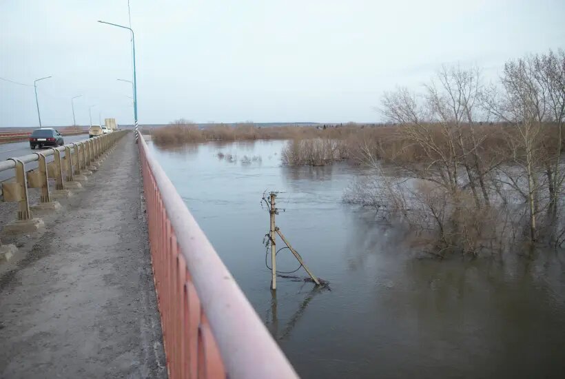    © РИА Новости. Евгений Кузьмин