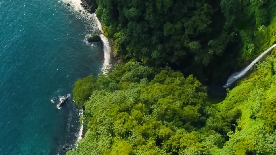 ФОТО: Кадр программы "Легенды и мифы", РЕН ТВ