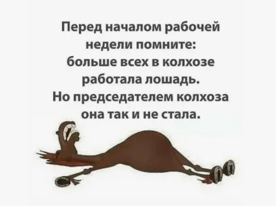 Яндекс картинки