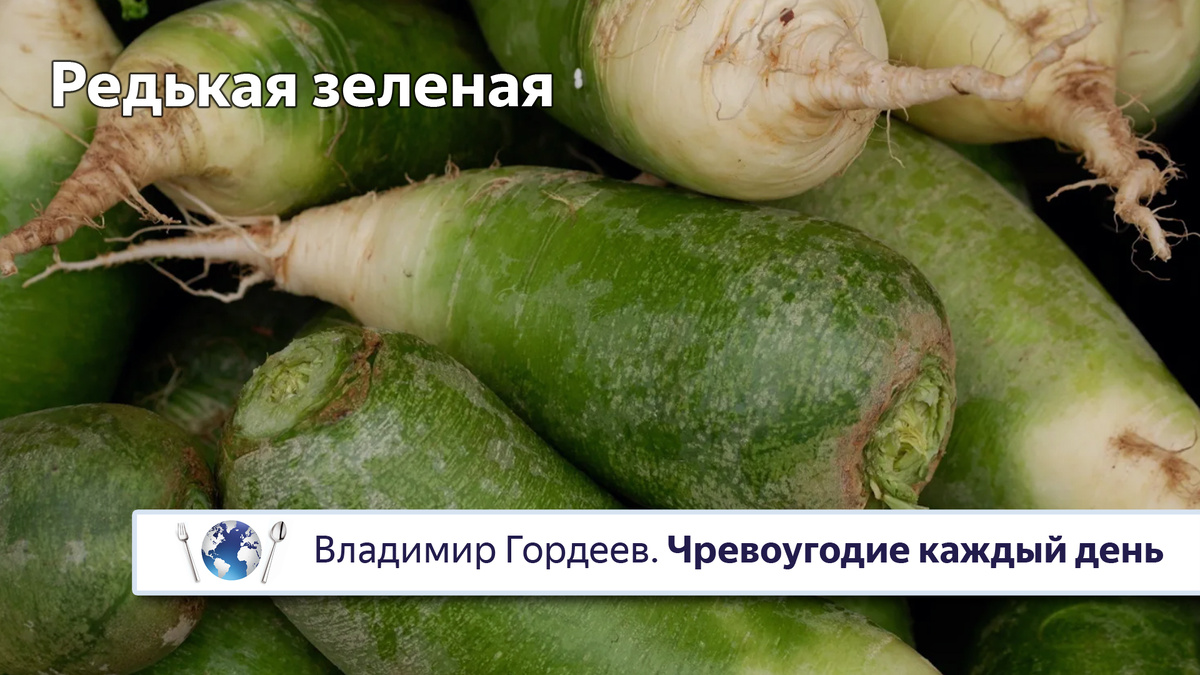 Редька зеленая