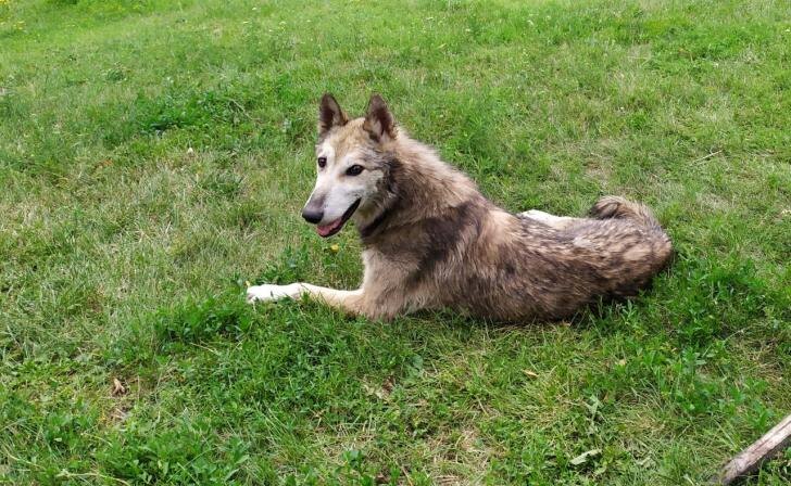    фото Курские известия