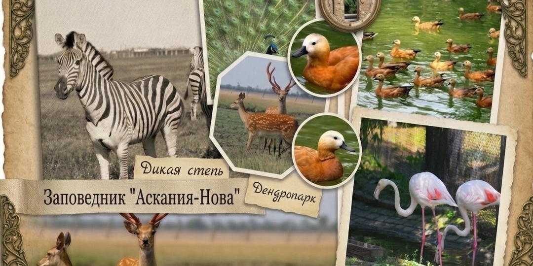 Степной ковчег: мировой Эдем в херсонской глуши