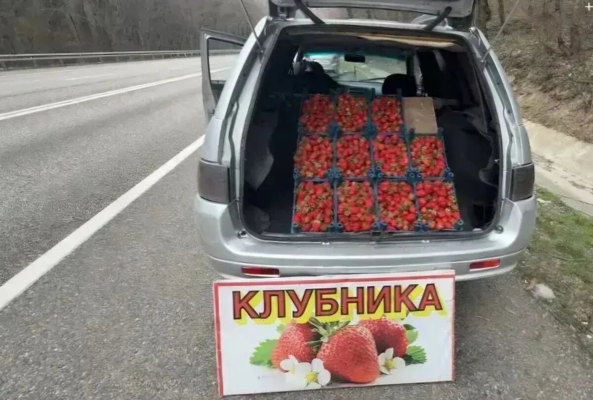    Фото пресс-службы администрации Туапсинского округа