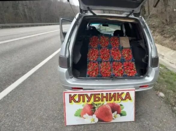 Власти Туапсе призвали граждан не покупать клубнику вдоль обочин