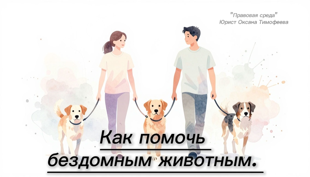 Как помочь бездомным животным.