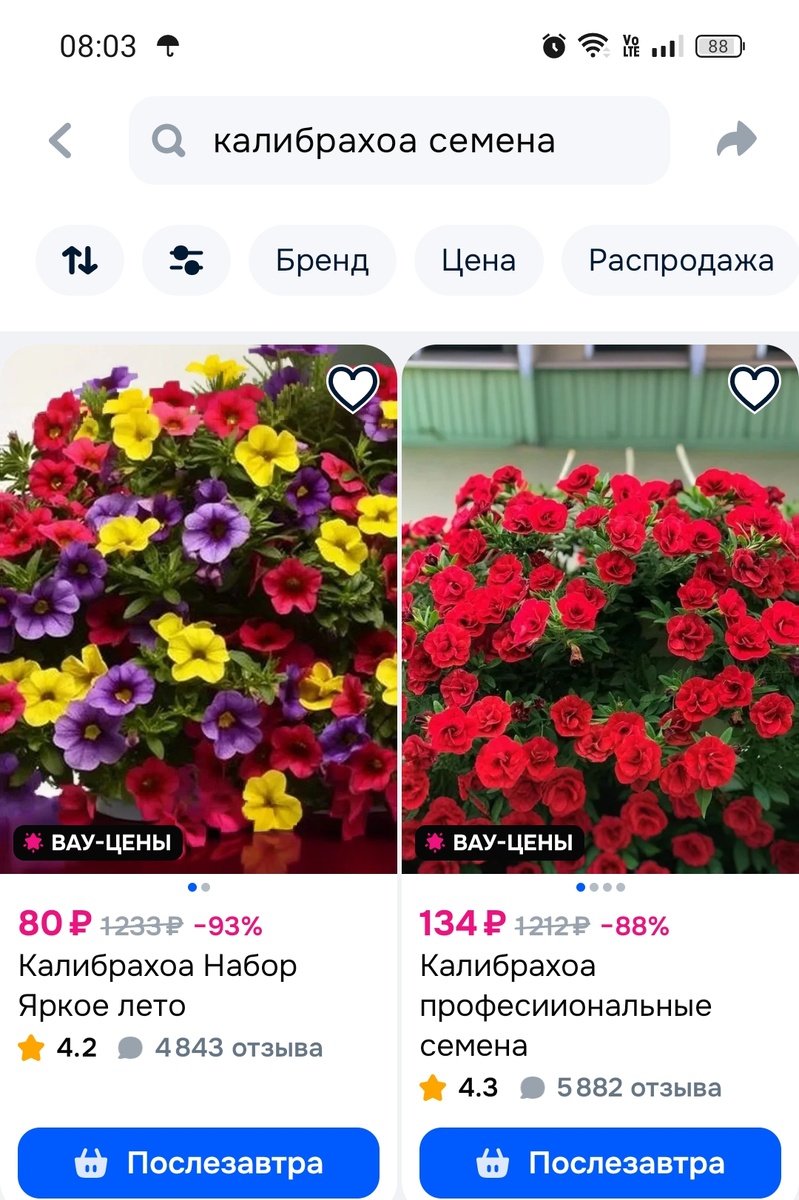 Не калибрахоа.