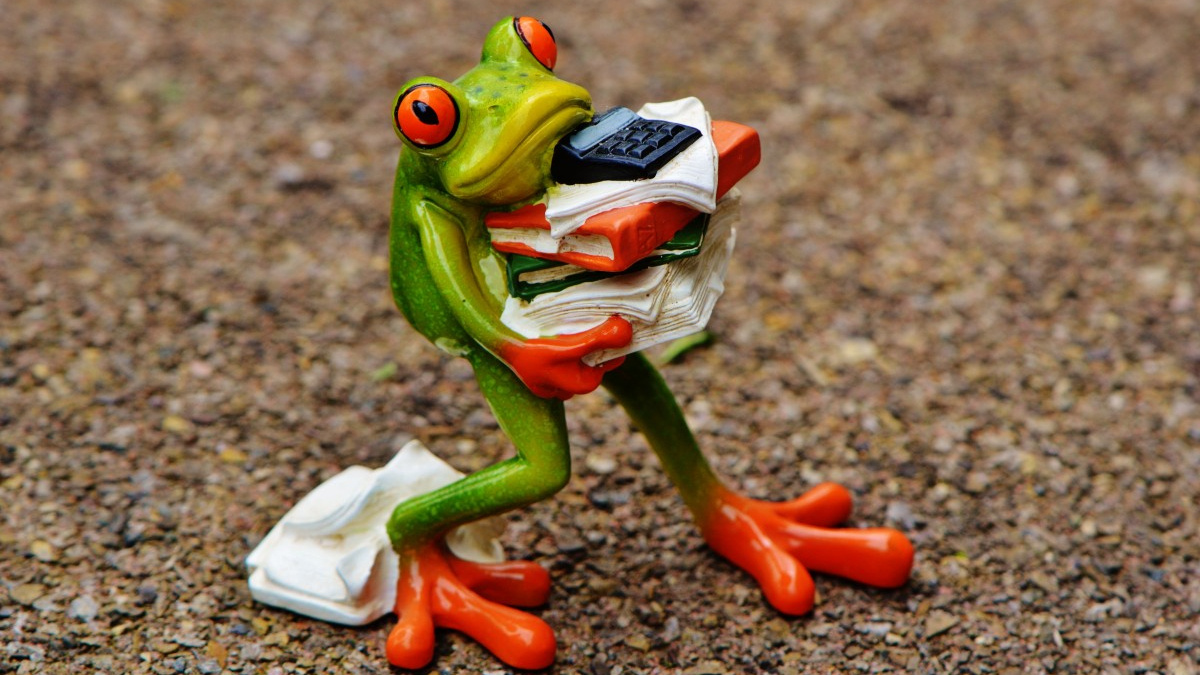 Фото: pxhere.com