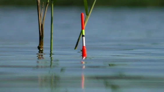 Рыбалка на поплавок весной: наживки и глубина, которые работают