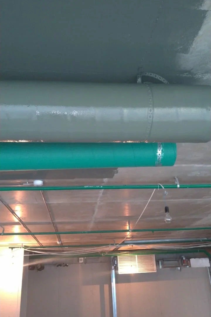 Тестовый выкрас 