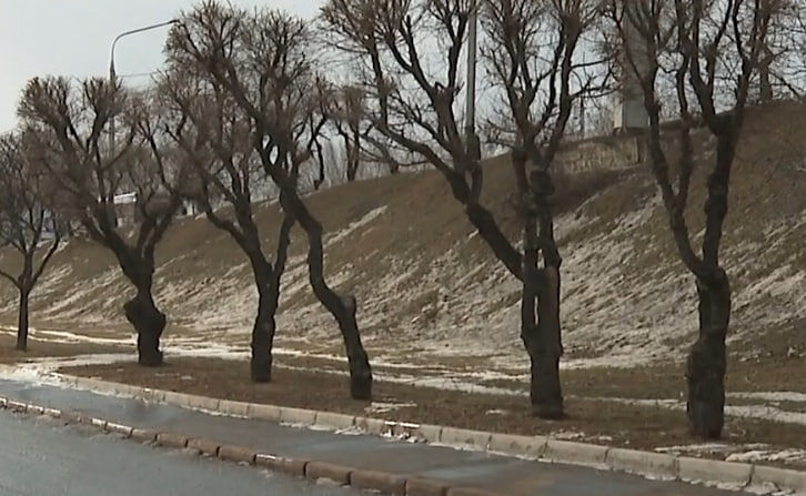     Настоящее весеннее тепло наконец-то пришло в Красноярск