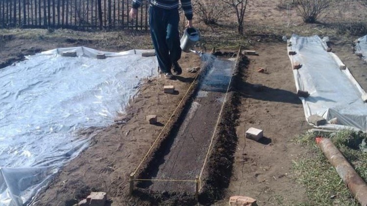 Укрывной материал решает сразу две задачи: защищает от перегрева и не пускает крестоцветную блошку.