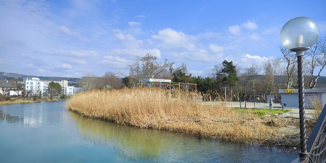 Дивноморское или Геленджик? Съездила на день и теперь знаю, где лучше