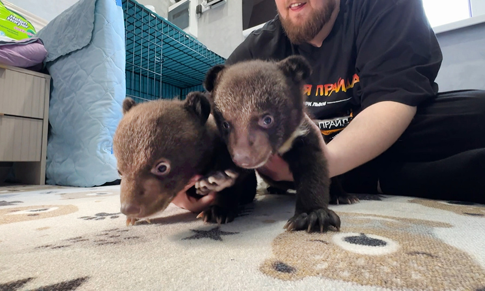    ©АО "ТВ Центр"