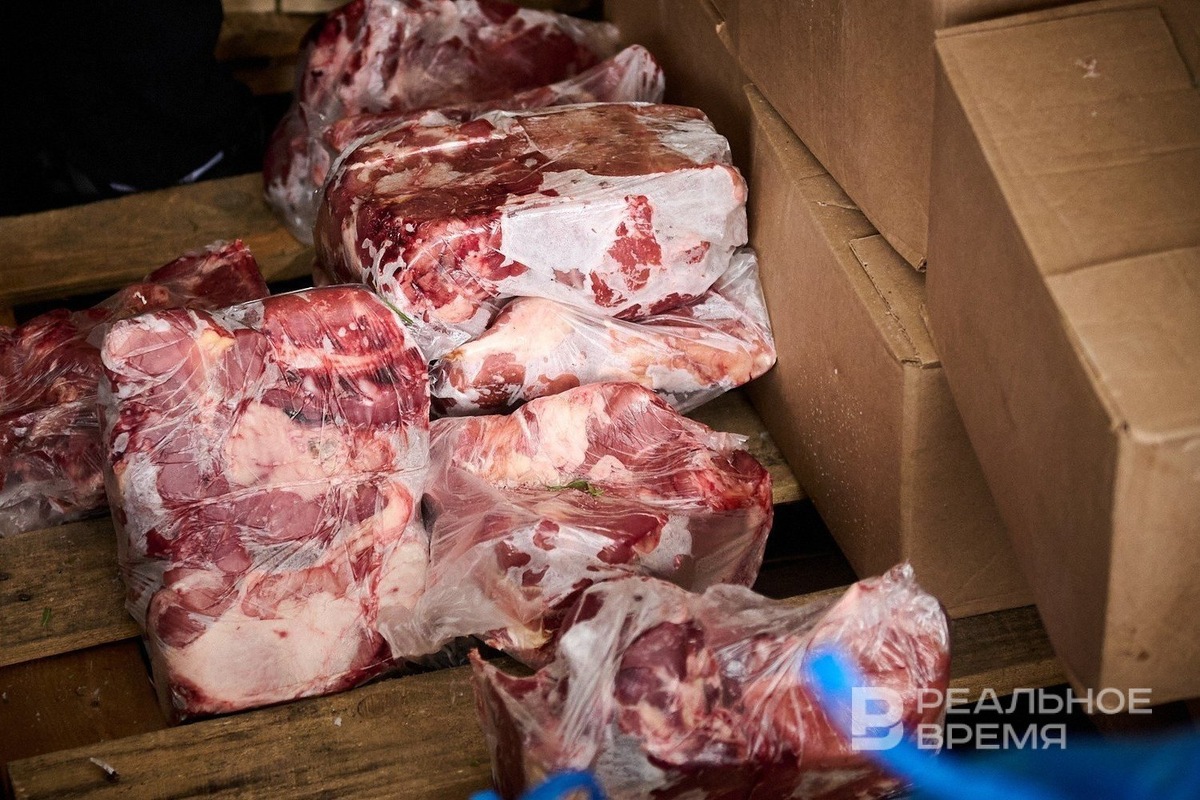   Динар Фатыхов / realnoevremya.ru