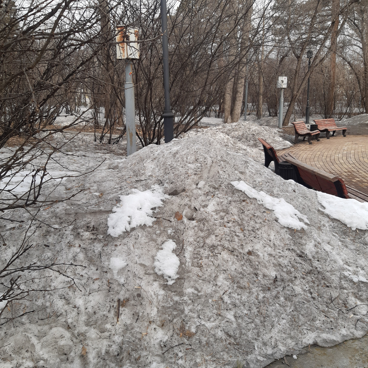 Куча в 47 лет