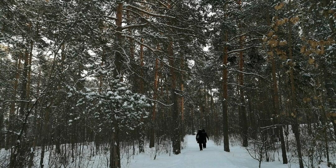 Двое детей пошли вдоль Волги и пропали в Ульяновске: что известно к этому часу