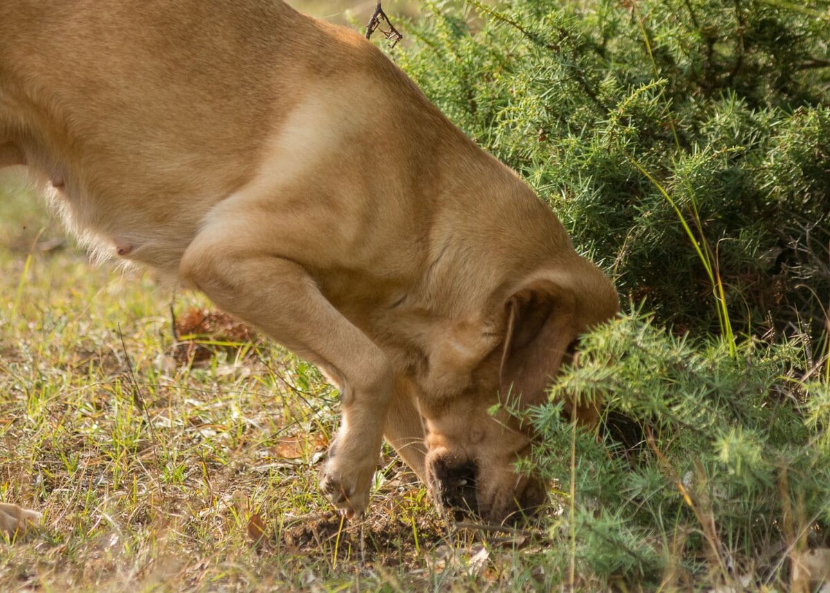     / Источник: © Apostolos Domalis/Global Look Press