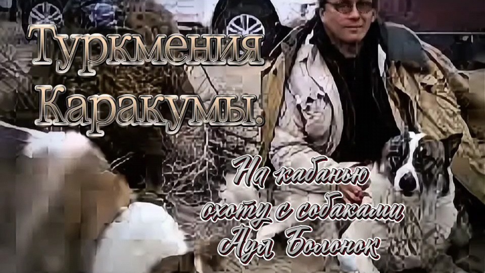 Туркмения. Каракумы. На кабанью охоту с собаками. Аул «Болонок».