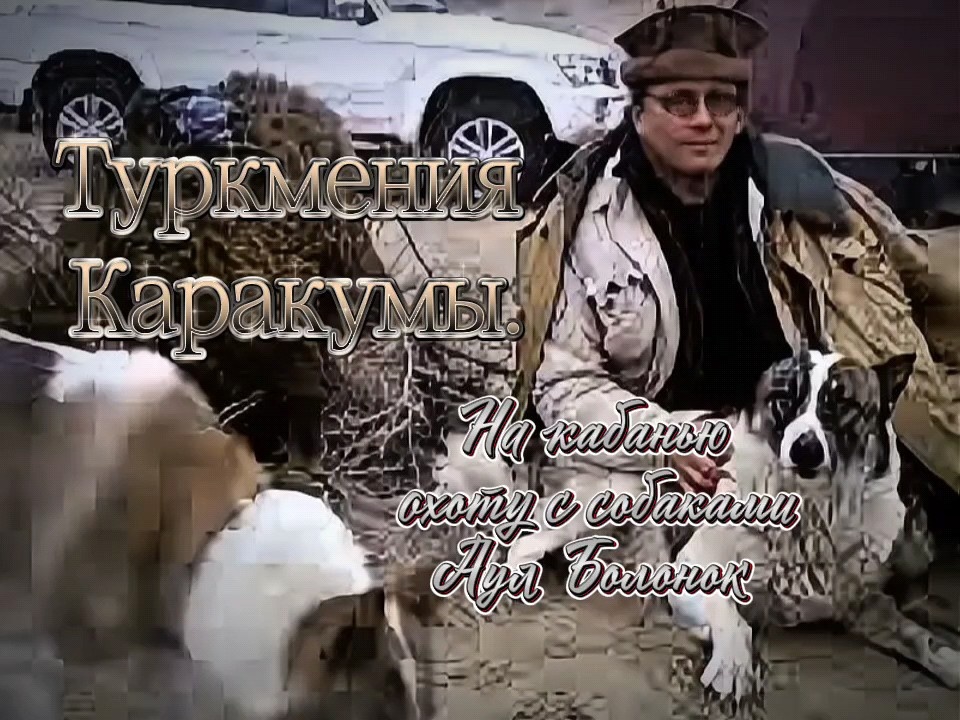 Наш лагерь в районе аула Болонок. Володя, собачки - Борман и Рыба.