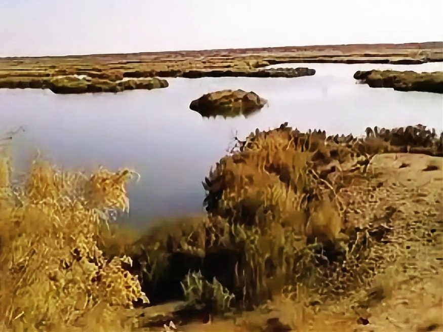 Красивый разлив на котором сидела стая лебедей. Низкая разрешимость камеры кнопочного телефона не передаёт всю прелесть вида. Лебедей к сожалению не видно.