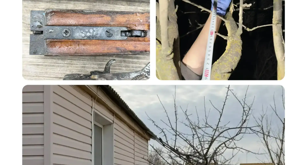 Астраханец, устав от ссор соседей, решил устранить проблему радикальным способом