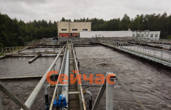    Фото: Росприроднадзор Иван Воробьев