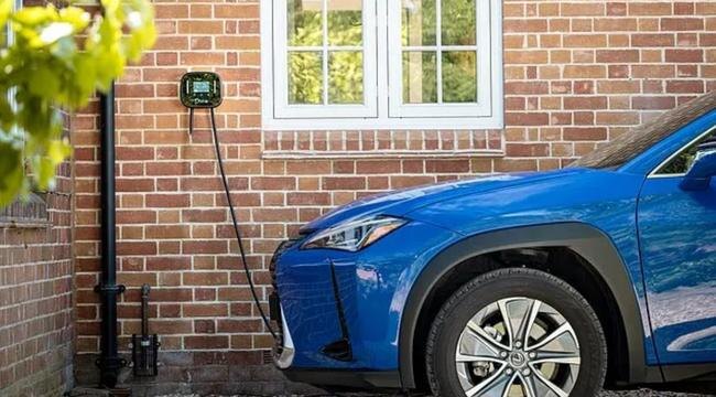 ПРИУЧАЯ К РОЗЕТКЕ