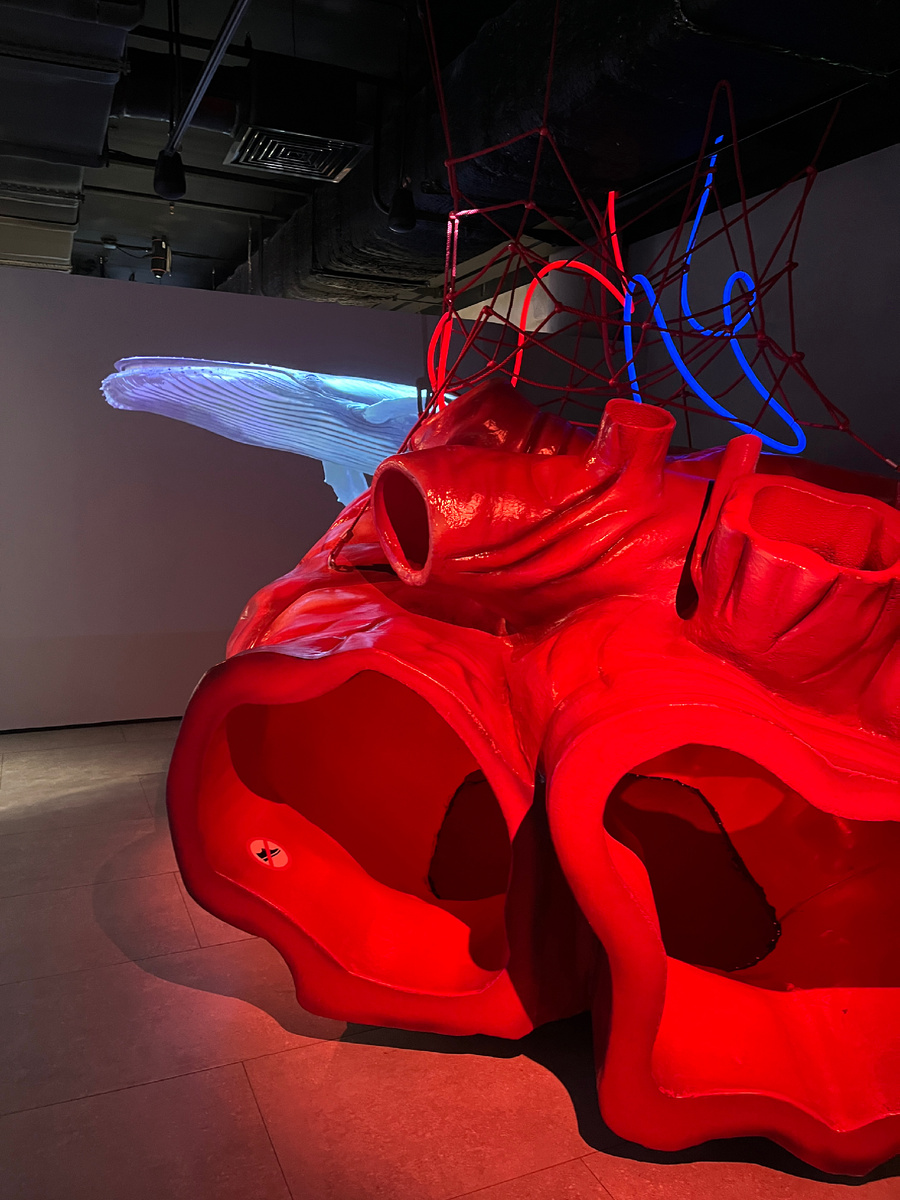 Сердце кита и на фоне плавает кит