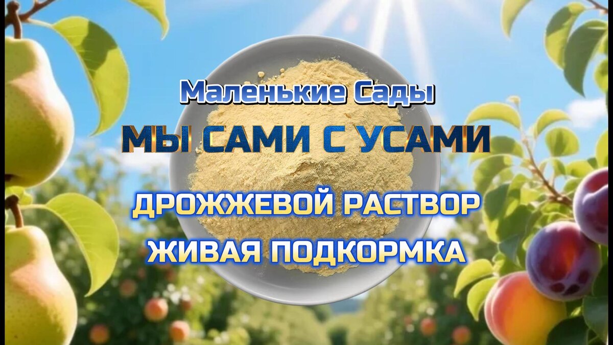 Как приготовить рабочий дрожжевой настой для любых растений | Маленькие Сады