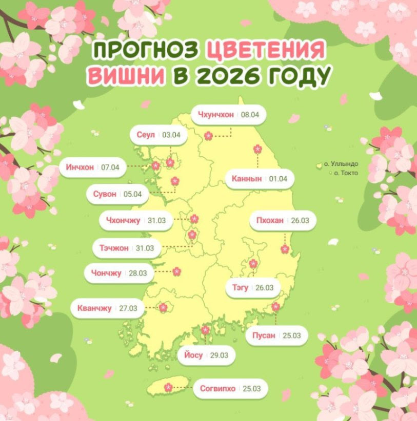 Прогноз цветения вишни предоставлен министерствоми по туризму Кореи