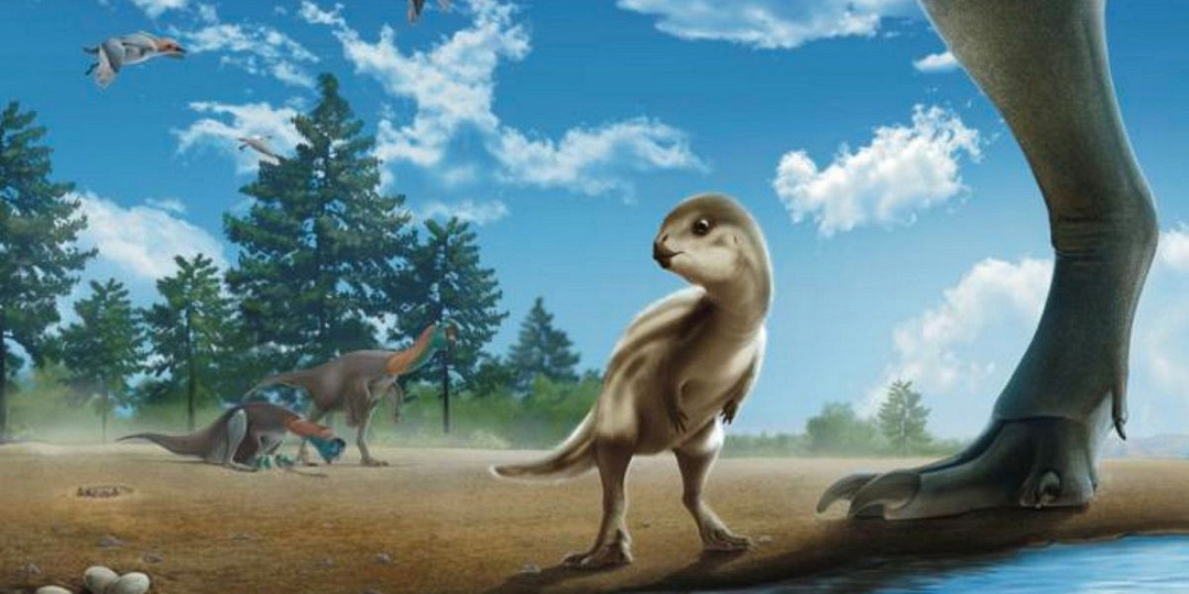 В Южной Корее нашли останки первого за 15 лет нового вида динозавров