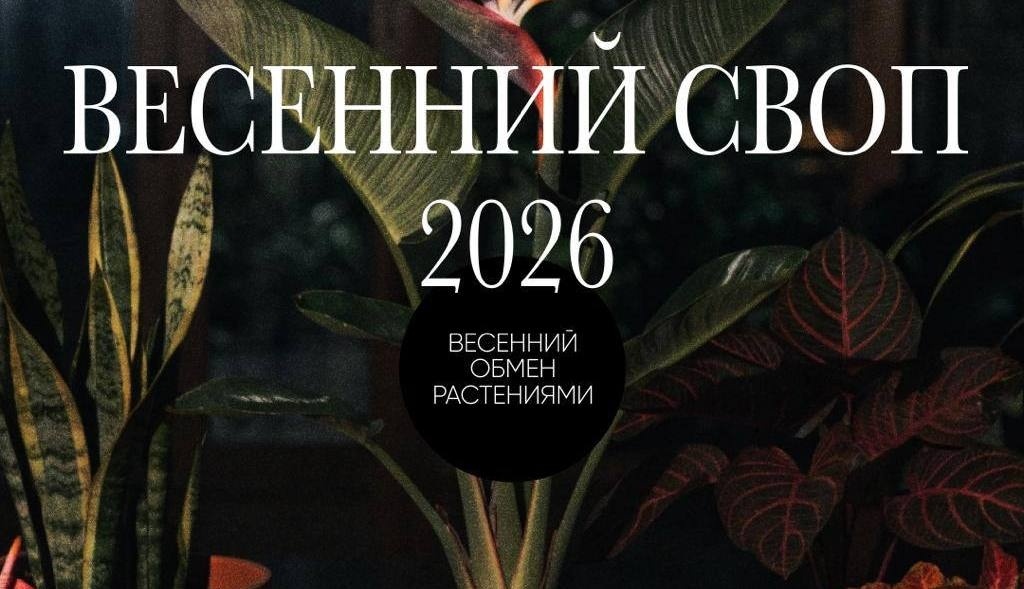    Telegram канал "Афиша Екатеринбурга | Новости"