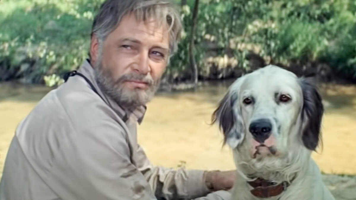 Фото из открытых источников.