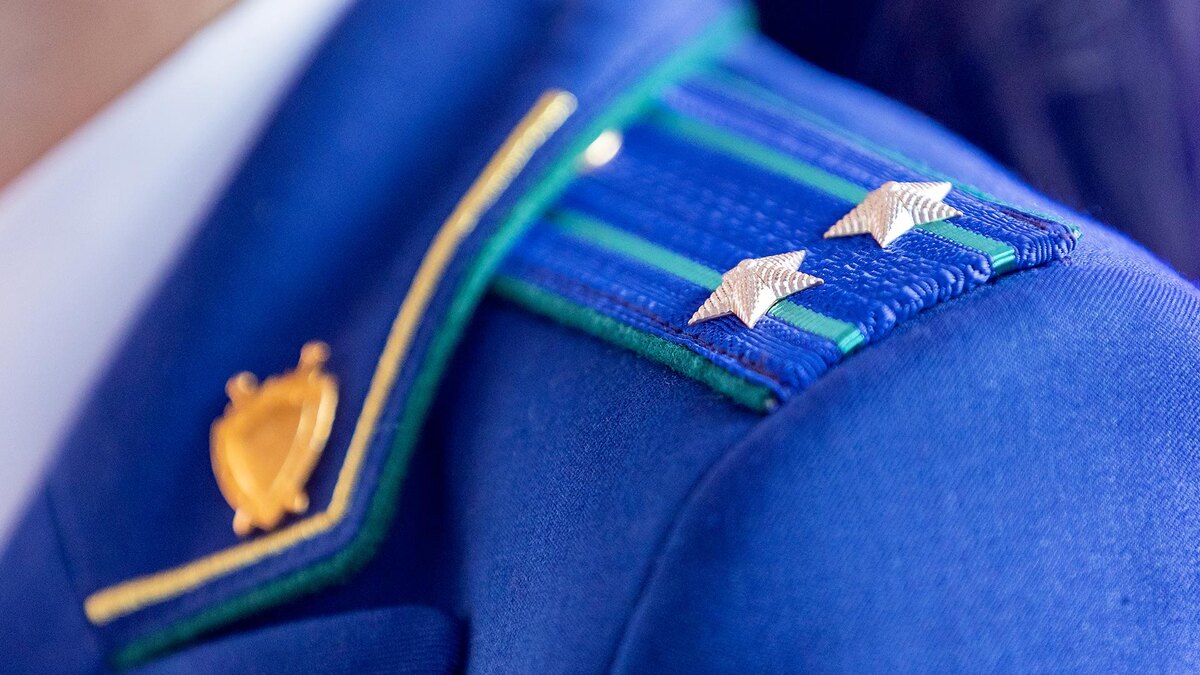    Фото: Aleksey Smyshlyaev/globallookpress.com