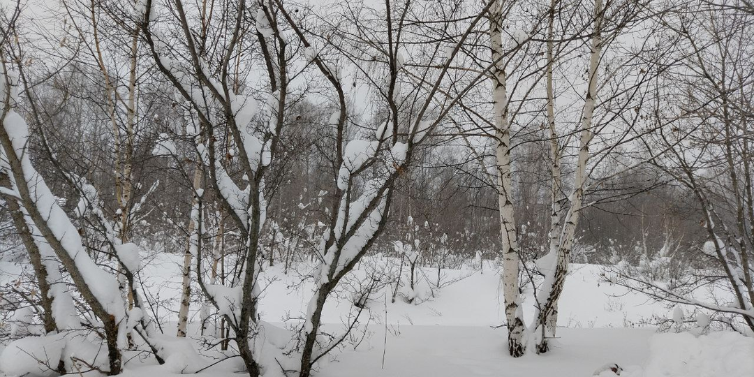Отличница всегда и везде. Глава 21.