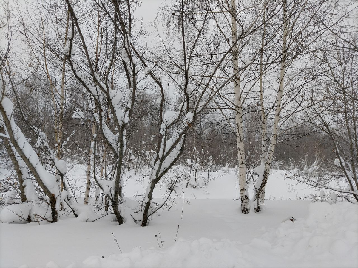 Фото автора.