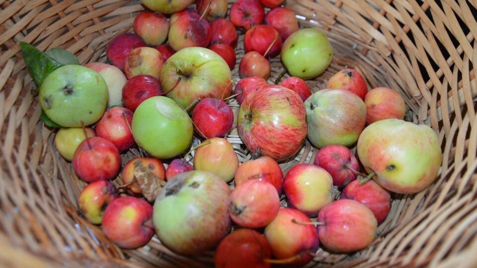    REGIONS/Наталья Дорофеева