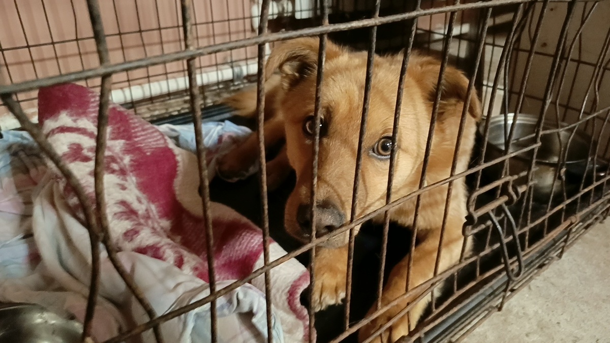 Не бойся! Тебя здесь не обидят 