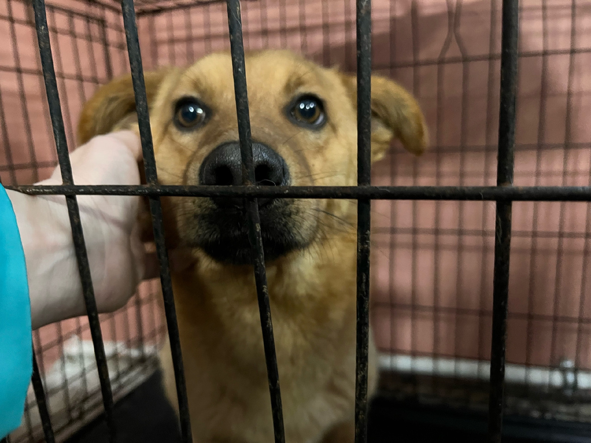 Держись маленький!