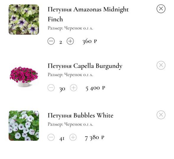 Обновление информации по оптовым заказам