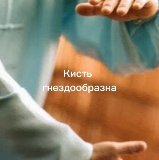 После 50 лет энергия уходит. Как 108 форм тайцзицюань закрывают дыры и возвращают молодость