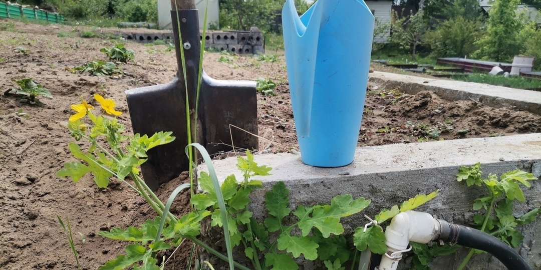 В Союзе дачников рассказали, какие удобрения подготовят почву после зимы