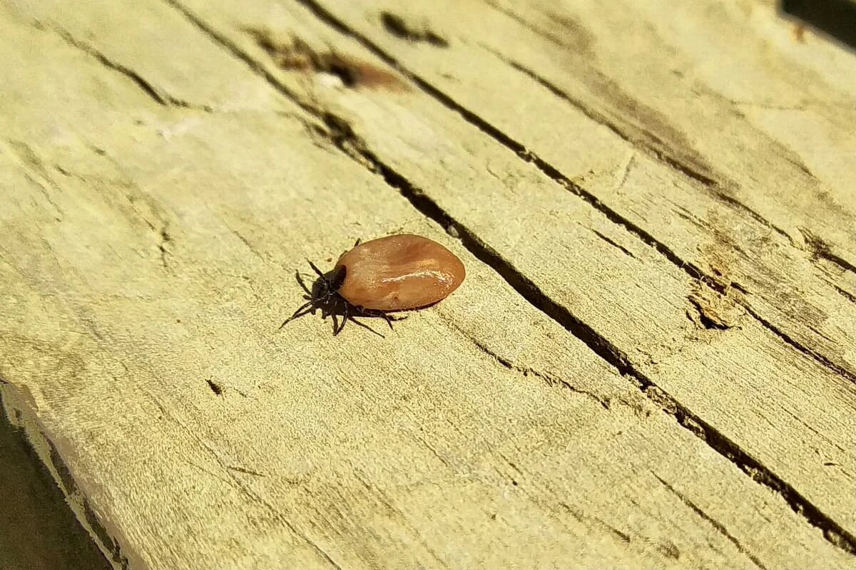 Фото: UfaTime.ru