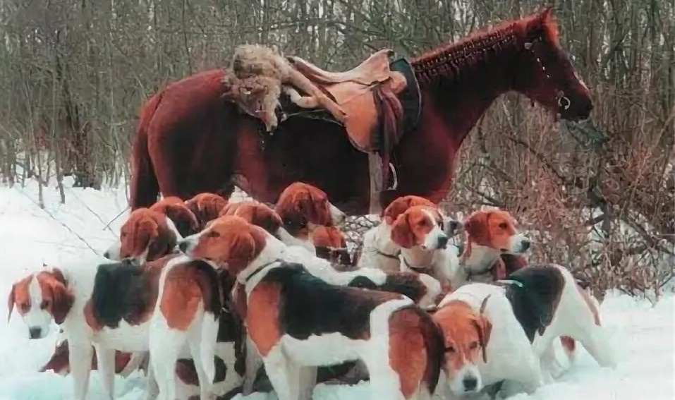 Фото из интернета.