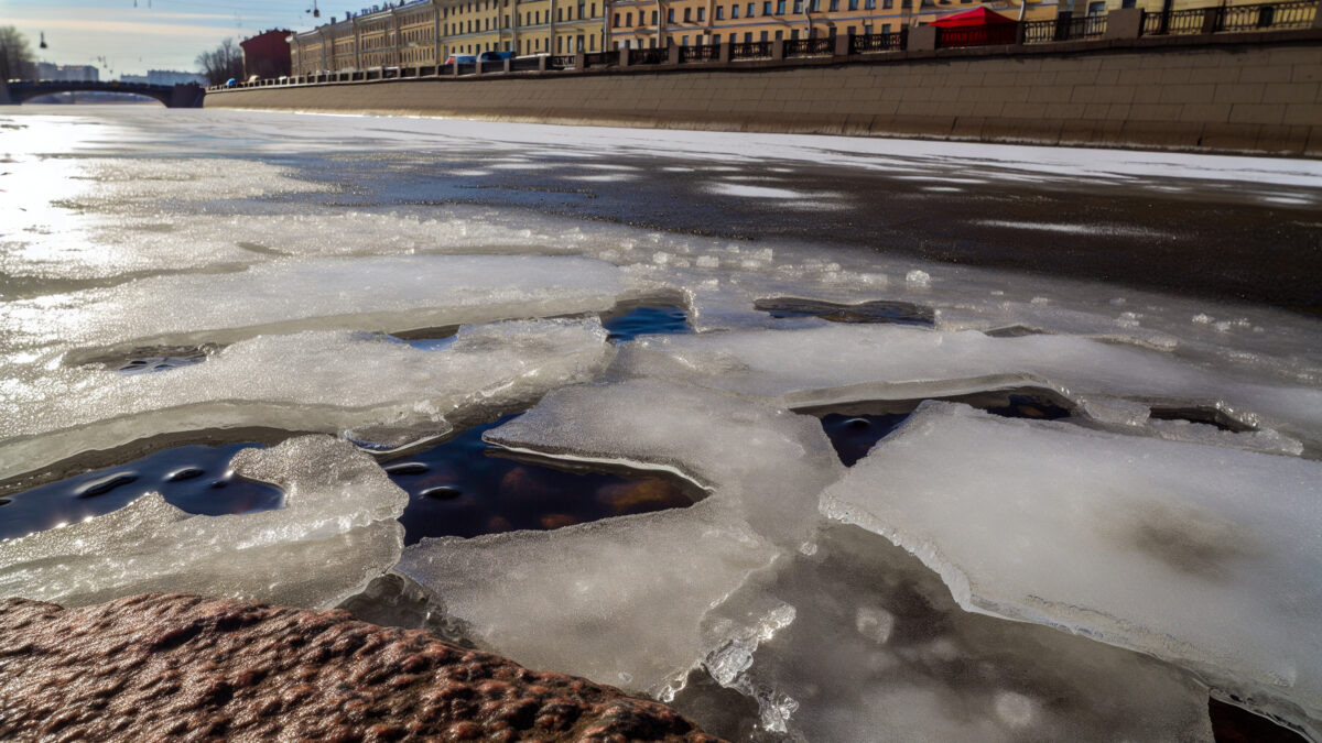    Фото - slanews.ru Никита Филлипов