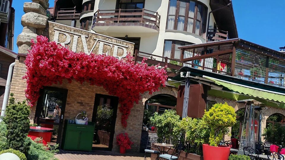 Гастро-тур по Лазаревскому 2026: ТОП-5 мест, где реально вкусно и не жалко денег.