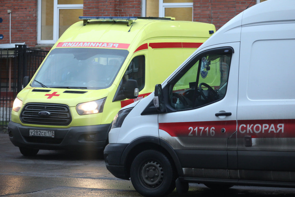 Роман Пименов/«Петербургский дневник»